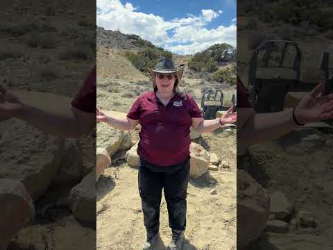 Week 1 finds out at Jurassic Mile