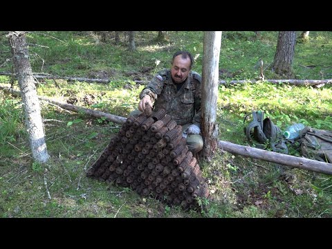 Куча находок в Карелии, раскопки по войне