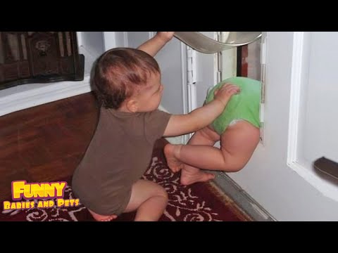 Sibling Baby's Funny Moments When Playing At Home ★Funny Baby And Pets