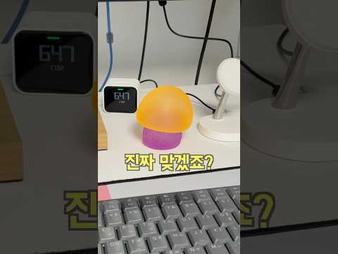 이번엔 찐 맞겠죠? #로제 #스트레스볼 #스퀴시 #꿀템