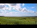Galveston Bay Foundation Engagement and Impact