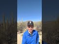 Desert Biome Characteristics and Diversity