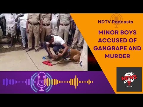 Andhra Pradesh News | Missing 8-Year-Old Girl Allegedly Gangraped And Killed By School Boys Aged 12
