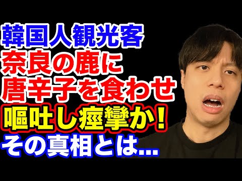 韓国人観光客が奈良の鹿に青唐辛子を食べさせたか。その真相とは【韓国反応】