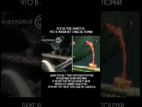 Даже когда ты грустишь, они несут тебе радость