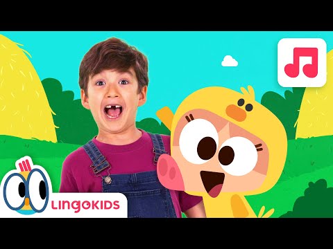 NUMBERS DANCE  🔢💃| Sing, Dance and Learn the Numbers | Lingokids