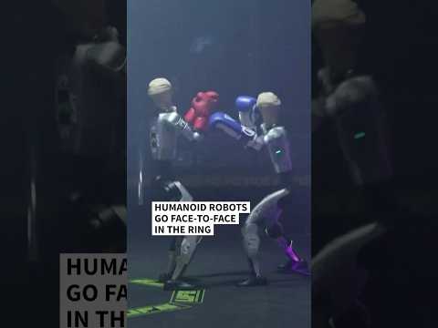 Humanoid robots go face-to-face in the ring | AFP