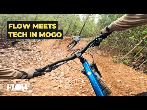 Mogo, NSW Trail Previews | Seamstress