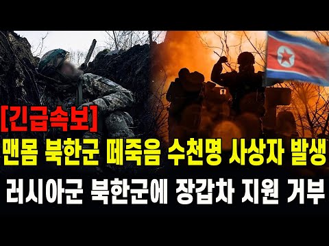 [긴급속보] 맨몸 북한군 수천명 사상자 발생...러시아군 북한군에 장갑차 지원 거부