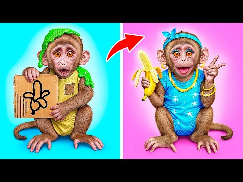 From Nerd to Popular Monkey by Multi DO Challenge