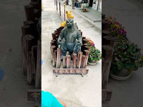 犬の動画サムネイル - 【わぁっ💥ゴ、ゴジラ、、、？！】#gozila #動物園 #驚き #shorts #youtubeshorts