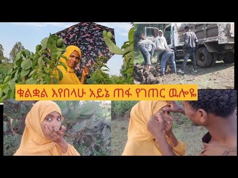 🛑ገጠር ላይ    ጉድ ሆንኩላቹ#minivlog የቀን ውሎዬ አብረን እንዋል