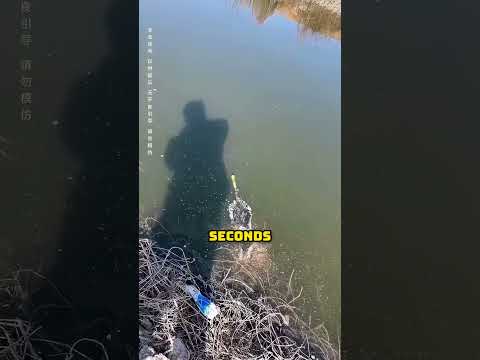 Never Put a Firecracker Underwater 🤯