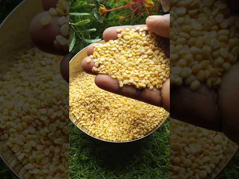 ମୁଗ ସିଝା