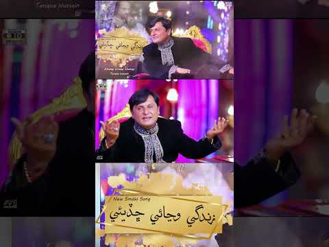 Zindagi Wainaye Chadayi 4 Tarique Hussain New Sindhi Song 2025 #shorts #ytshorts #newsindhisong