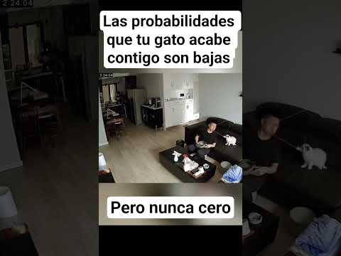 probabilidades
