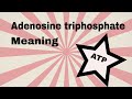 Understanding ATP and Its Role in Cellular Energy
