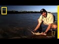 Sawfish Research and Ecology Assessment