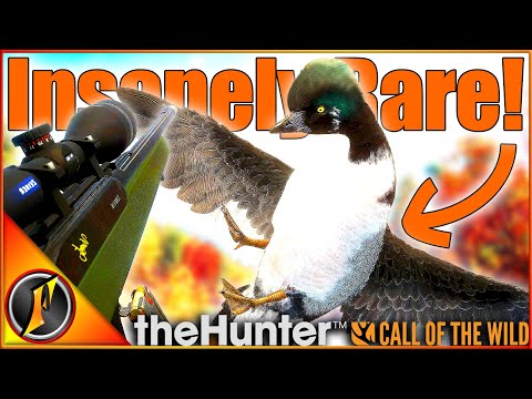 I Accidentally Shot One of the RAREST Animals in Call of the Wild! 😲