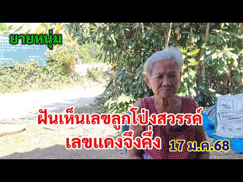 ฝันเห็นเลขลูกโป่งสวรรค์ เลขแดงจึงคึ่ง 17 ม.ค.68 ยายหนุ่ม