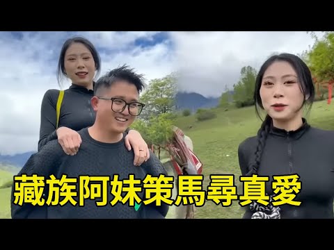 藏族阿妹策馬尋真愛！ 幾十頭牛羊當聘禮，招個好女婿這麼難嗎！ 【王一點】