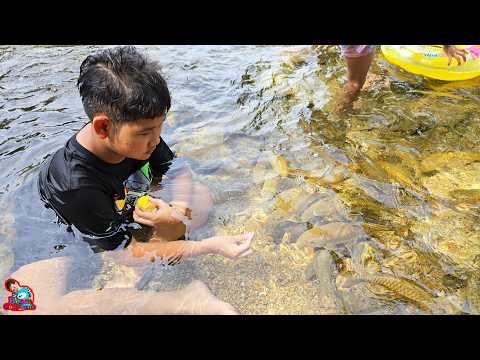 น้องบีม | ให้อาหารปลาแบบใกล้ชิด เที่ยวคลองปลาแงะ นครศรีธรรมราช ตอนจบ