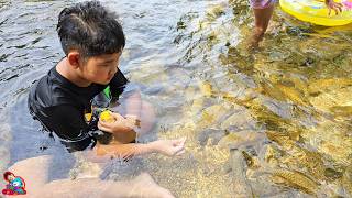 น้องบีม | ให้อาหารปลาแบบใกล้ชิด เที่ยวคลองปลาแงะ นครศรีธรรมราช ตอนจบ