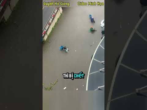 Hành Động Ấm Lòng Ngày Mưa Bão | Quỳnh Hà Giang