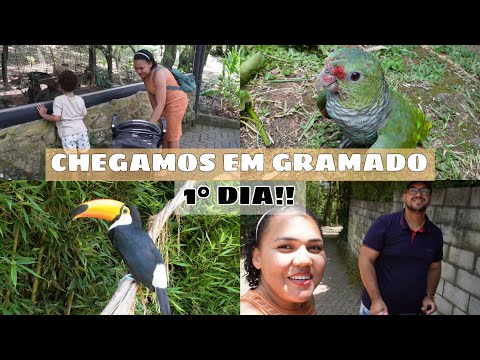 MUITO PER1GOSO A NOITE | 7 DIAS DE VIAGEM DE CARRO ATE GRAMADO +FOMOS NO ZOO | ANDAMOS DE TRENZINHO!