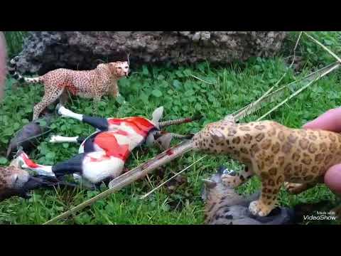 A Big Cat's Clan( EP1)~Toy Feline Series~