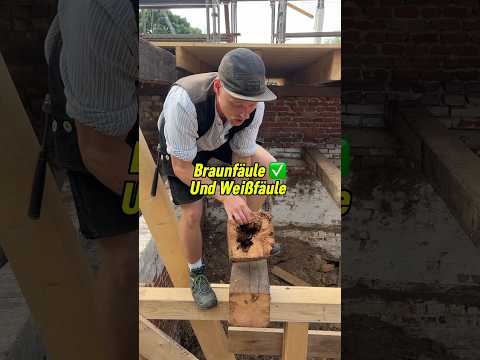 Braunfäule VS Weißfäule erkennen bei Balkenkopfsanierungen #handwerk #diy #shorts #woodworking