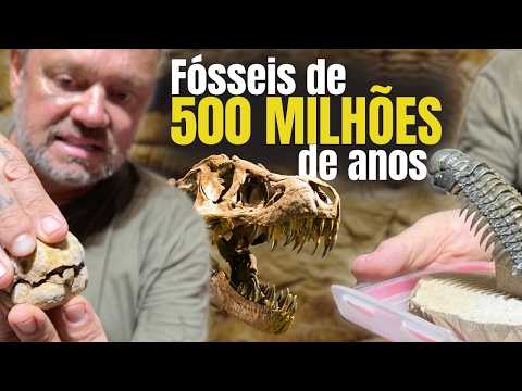 500 MILHÕES DE ANOS DE HISTÓRIA: O QUE EXISTIU ANTES DOS DINOSSAUROS?