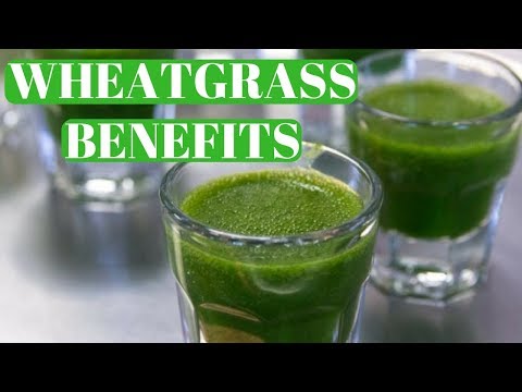 What Does Wheatgrass Do For You