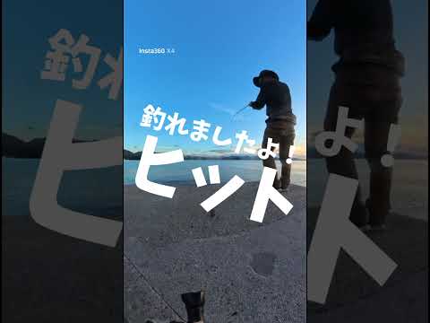 【10/5 山口県の釣り】釣る気満々で来たものの…