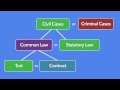 Understanding Torts