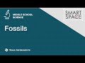 Fossil-Making Activity Preparation