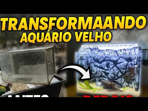 Transformei um Aquário Velho com Fundo 3D Incrível!