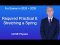 Force and Extension in Springs