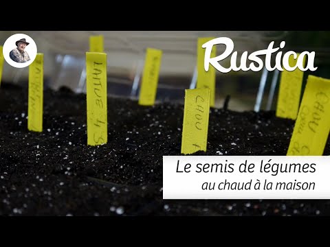 Semer des légumes au chaud à la maison