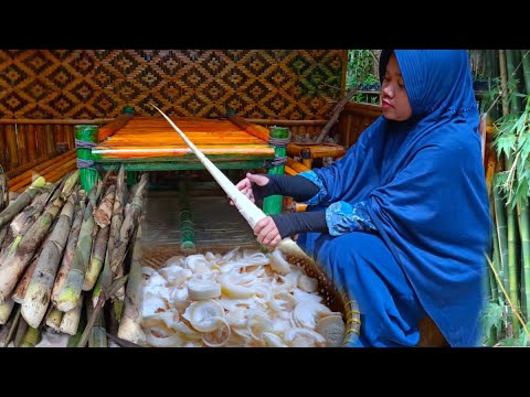 Panen Rebung Bambu | Masak hidangan rebung bambu yang nikmat