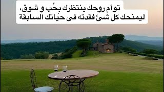 توأم روحك ينتظرك بِحُب و شوق، ليمنحك كل شئ فقدته فى حياتك السابقة 