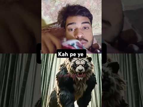 Sahi kaha na mene #animals #hybridanimals #attitude #lion #tiger #motivation #jharkhandifitness