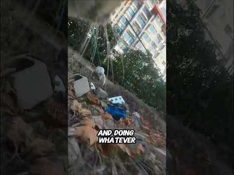 Troublemaker Cat is The Meanest Cat in the Whole Town😿💔