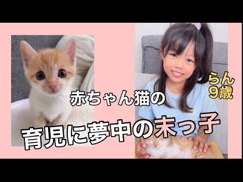 4ヶ月振りのらんチャンネル✨子猫の育児に夢中🥰