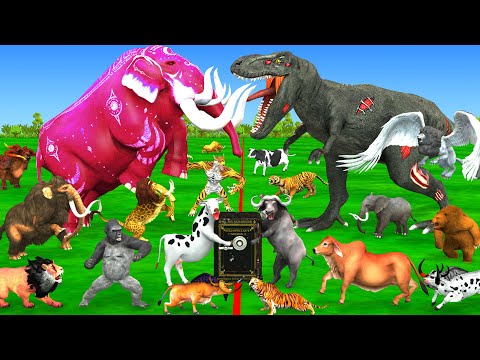 5 Giant Mammoth Elephant Cow Bull Vs 5 Giant Lion Zombie Dinosaur Attack Cow Save by Mammot Mastodon