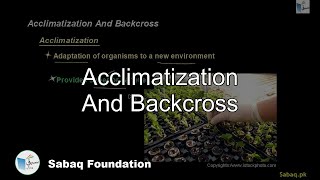 Acclimatization And Backcross