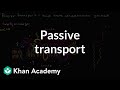 Exploring Passive Transport and Selective Permeability