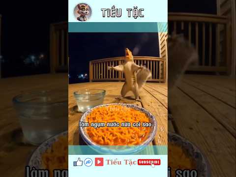 mỳ cay cấp độ 7🌶😅 #tieutac