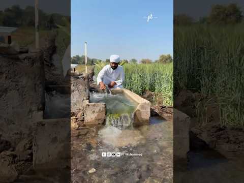 เดเตเดตเดพเดเตโเดตเดฏเดฟเตฝ เดชเตเดคเตเดจเดฏเตเดเต เดธเตโเดเดจเตเดงเด เดชเดฐเดเตเดเตเดจเตเดจเต | Story-184