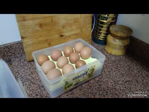 تاني روتين على القناه ضعف المناعه عند الاطفال ازاي ناخد بالنا